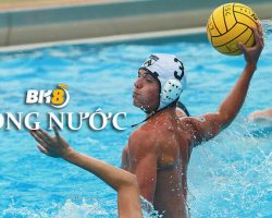 bóng nước giống với môn thể thao Hockey trên băng