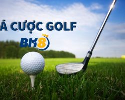 Cá cược golf: cách chơi thế nào và nên cược ở nhà cái nào?