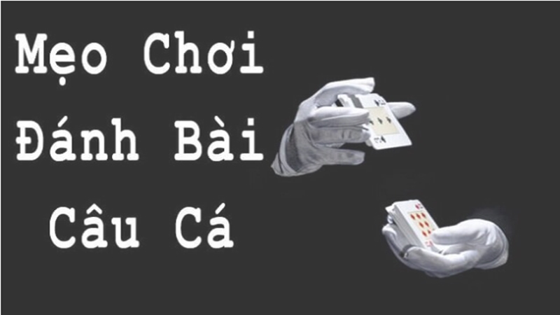 mẹo chơi bài Câu Cá